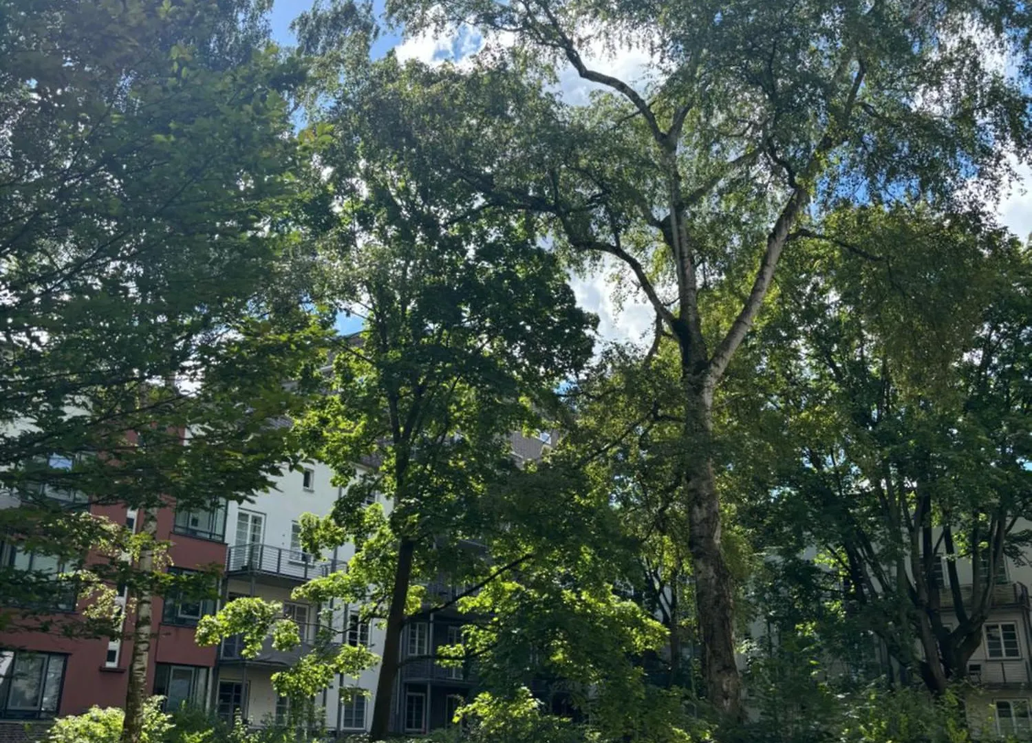 Apartment Citynah In Der List, Fusslaeufig Zur Eilenriede Und Mittellandkanal Hannover